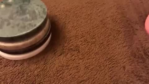 bluetrain97 online show from 1, 3, 2026