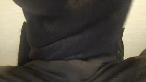 boblight221 online show from 9, 1, 2025