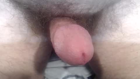 bobswan online show from 24, 10, 2025