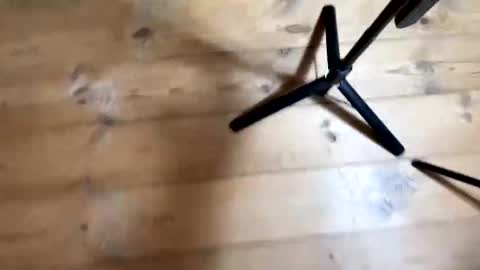 Nail and Olivia online show from 4, 12, 2025