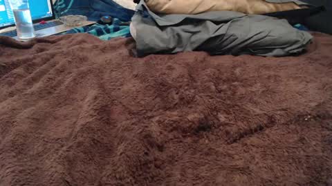 Snapshot of boldpleasure chatting on 13, 12, 2024 BoldPleasure online show from 13, 12, 2024