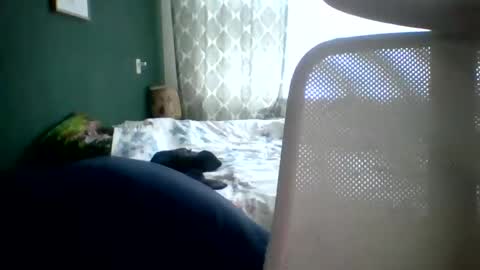 bomba8111 online show from 20, 1, 2025