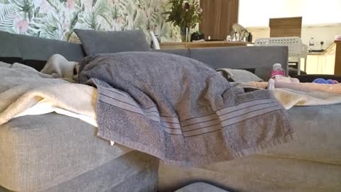 DeeDeeAndDexter online show from 1, 3, 2025