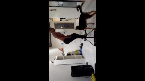 Snapshot of boner_steve chatting on 3, 11, 2025 Boner Steve online show from 3, 11, 2025