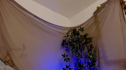 Snapshot of bonniecute_ chatting on 11, 10, 2025   online show from 11, 10, 2025