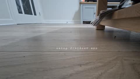 Snapshot of bonny8723 chatting on 13, 1, 2026 bonny8723 online show from 13, 1, 2026