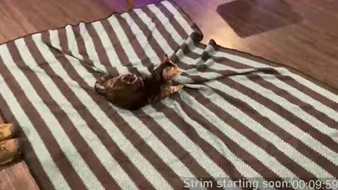 Snapshot of booker_baxton chatting on 24, 9, 2025 Booker Baxton online show from 24, 9, 2025