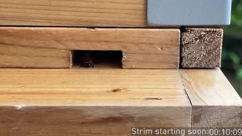 Snapshot of booker_baxton chatting on 22, 10, 2025 Booker Baxton online show from 22, 10, 2025