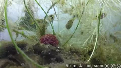 Snapshot of booker_baxton chatting on 24, 10, 2025 Booker Baxton online show from 24, 10, 2025