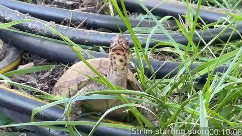 Snapshot of booker_baxton chatting on 30, 10, 2025 Booker Baxton online show from 30, 10, 2025