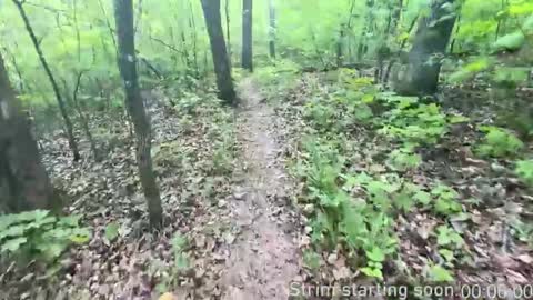 Snapshot of booker_baxton chatting on 5, 11, 2025 Booker Baxton online show from 5, 11, 2025