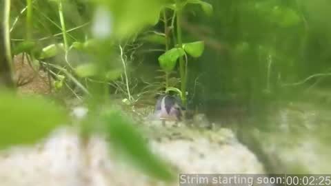 Snapshot of booker_baxton chatting on 14, 2, 2026 Booker Baxton online show from 14, 2, 2026