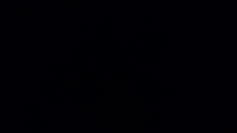 boonie9995 online show from 3, 4, 2026