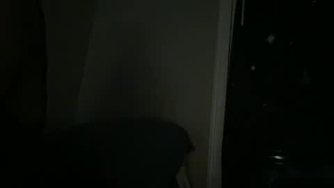 Snapshot of bootymaxxx chatting on 4, 3, 2025 bootymaxxx online show from 4, 3, 2025