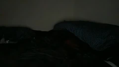 bootymaxxx online show from 23, 5, 2026