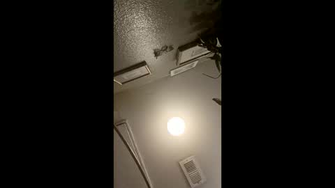 boredaf6678 online show from 21, 3, 2026