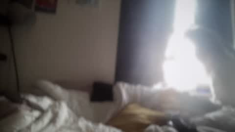 Snapshot of borkaa777 chatting on 20, 6, 2026 borkaa777 online show from 20, 6, 2026