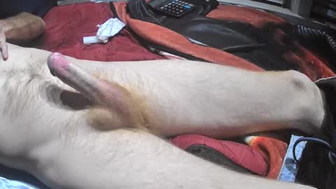 bornwild13 online show from 11, 11, 2025