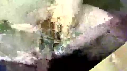 Snapshot of bossram160 chatting on 17, 9, 2025 bossram160 online show from 17, 9, 2025