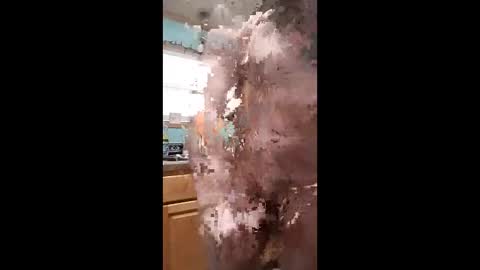 Snapshot of bossusaround chatting on 11, 1, 2026 bossusaround online show from 11, 1, 2026