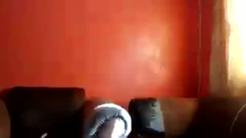 Snapshot of botsougaba chatting on 27, 7, 2026 botsougaba online show from 27, 7, 2026