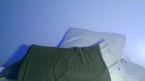 Snapshot of bowser2334 chatting on 30, 12, 2024 Jason Jax online show from 30, 12, 2024