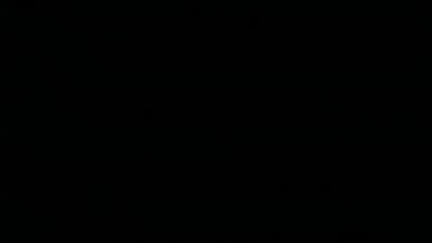 boxersnut1 online show from 17, 2, 2026