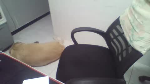 boy_fitbrutal online show from 2, 12, 2025