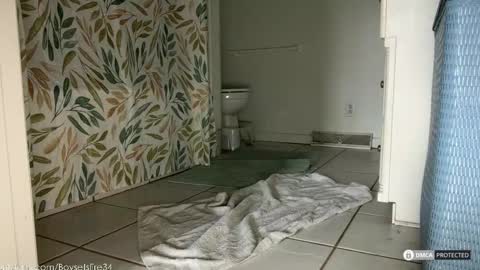 boysetsfire34 online show from 18, 2, 2026