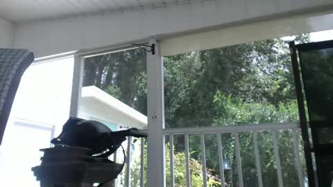 mr bill sir online show from 6, 10, 2025