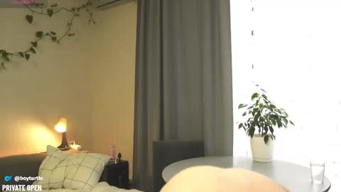 BoyTurtle online show from 5, 11, 2025