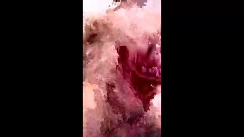 bracka100 online show from 9, 2, 2026