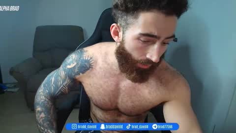 Snapshot of bradtrainn chatting on 17, 5, 2026 bradtrainn online show from 17, 5, 2026