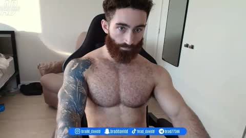 Snapshot of bradtrainn chatting on 17, 5, 2026 bradtrainn online show from 17, 5, 2026