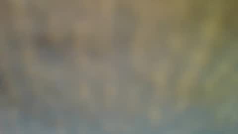 Snapshot of bradynoggle chatting on 12, 2, 2025 bradynoggle online show from 12, 2, 2025