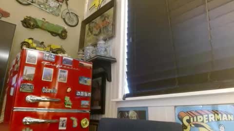 Snapshot of braindeadbetty chatting on 18, 4, 2026 i am a naughty jedi knight online show from 18, 4, 2026