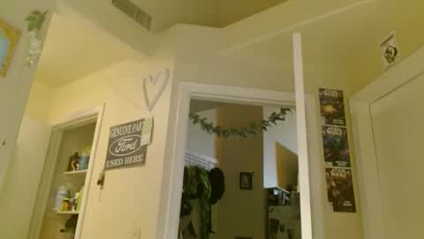 Snapshot of braindeadbetty chatting on 6, 5, 2026 i am a naughty jedi knight online show from 6, 5, 2026