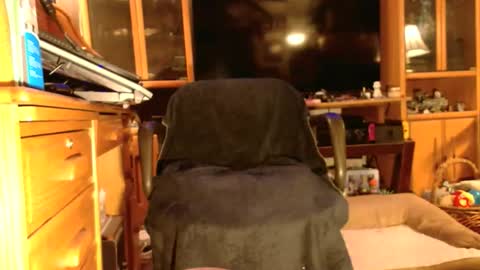 Brandi online show from 22, 10, 2025