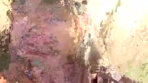 Brandon online show from 14, 1, 2025