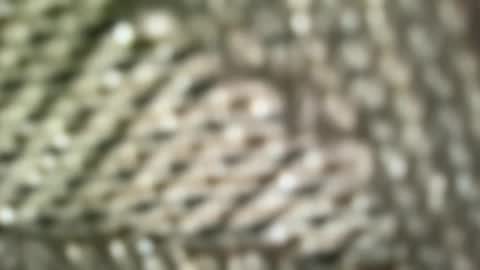 Snapshot of brandonconrad chatting on 7, 2, 2026 brandonconrad online show from 7, 2, 2026