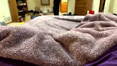 brandondot online show from 16, 12, 2024