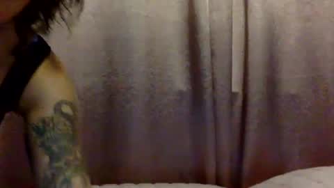 Snapshot of brasilierabrat chatting on 11, 6, 2026 brasilierabrat online show from 11, 6, 2026