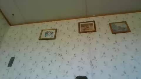 Bay online show from 20, 10, 2025