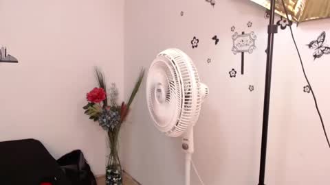 Snapshot of brenda_maz chatting on 29, 1, 2025 Brenda  online show from 29, 1, 2025