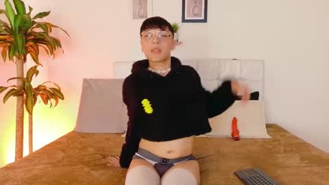 breydihard online show from 17, 9, 2025