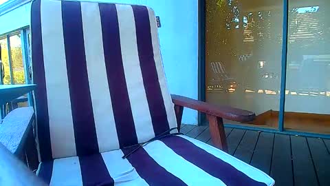 Fun Monster online show from 20, 2, 2026