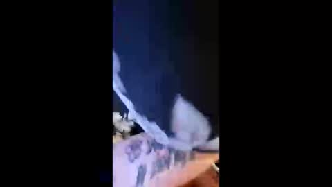 Snapshot of briebaby88 chatting on 13, 4, 2026 Leela Marie xo online show from 13, 4, 2026