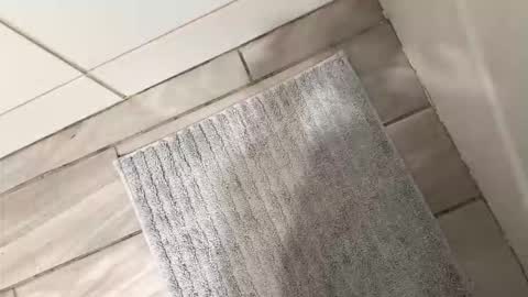 brownboyli online show from 2, 3, 2026