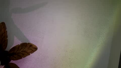 EtherealLilac online show from 11, 3, 2025