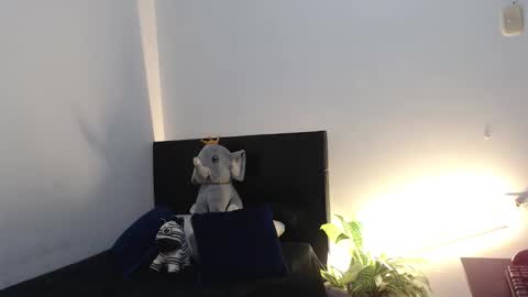 Snapshot of brucestroud chatting on 6, 1, 2026 brucestroud online show from 6, 1, 2026